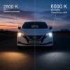 2er Set LED-MARTIN H11 ECE VisionDrive LED | mit Zulassung für 100% aller Fahrzeuge nach ECE-R37